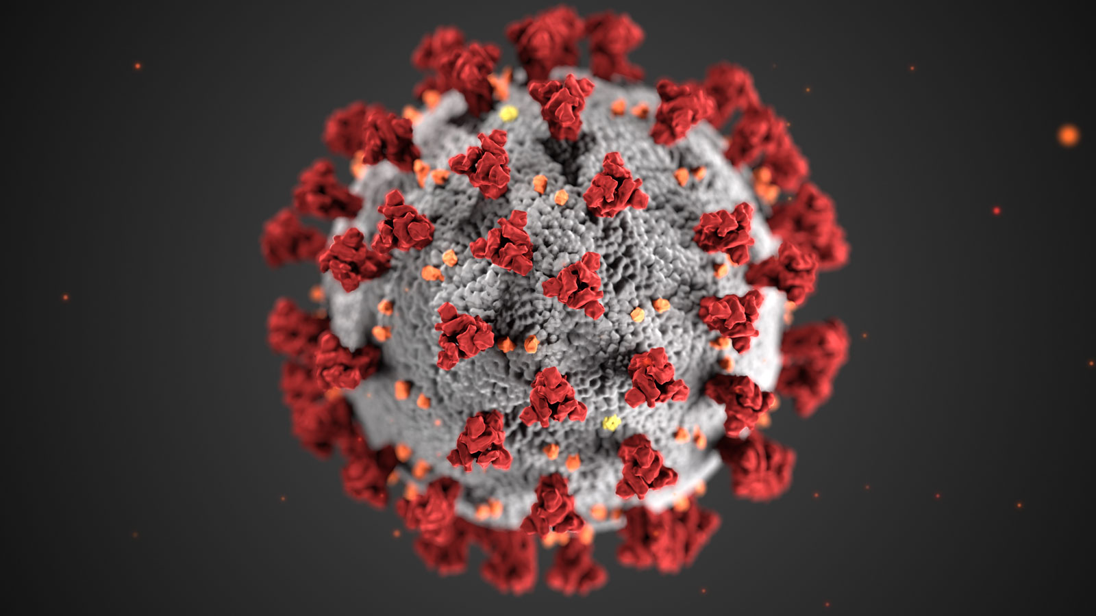 Coronavirus: The European Union stands by its Eastern partners